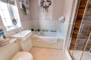 Photo 10- click for photo gallery